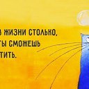 ���� ������, ��������, 71 ��� - ��������� 11 ��� 2026 � ������ �����