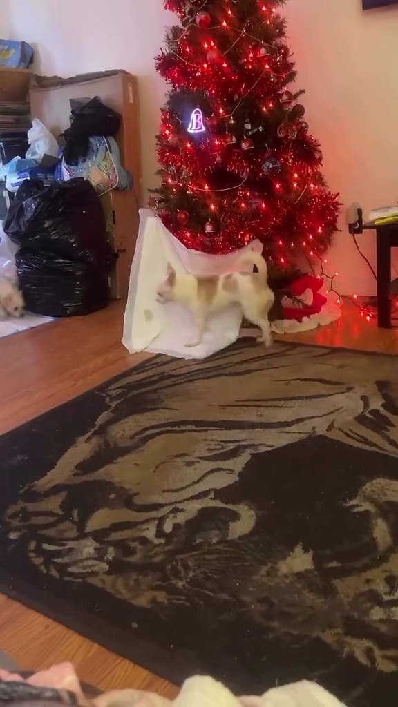 ���������, ���� �� ������ ���� �������?) - 2
