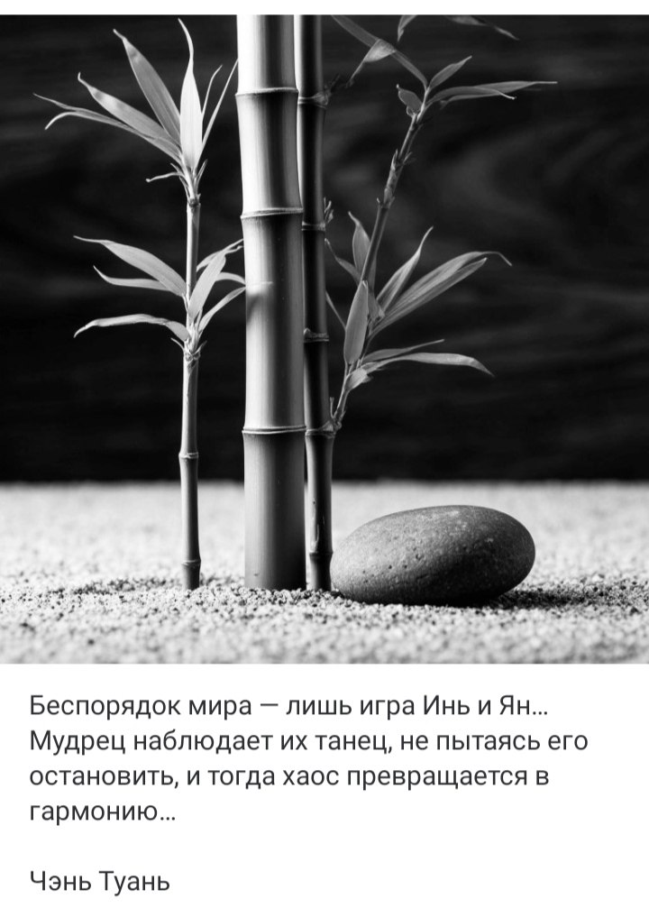 ***Victoria Viktorovna*** - 8  2025  01:16