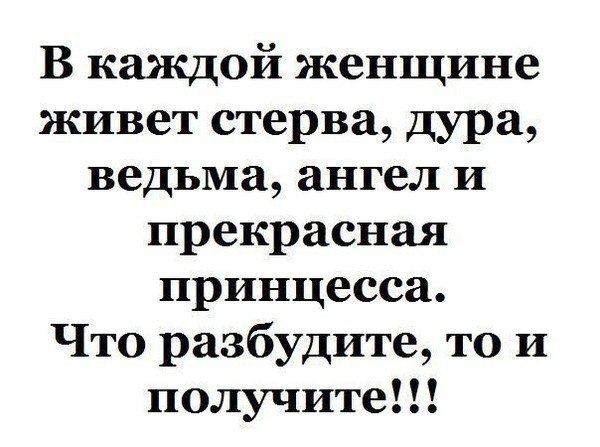   - 2  2025  15:02