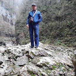 , 65 , 