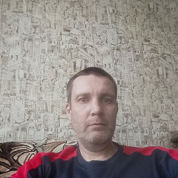 ����, 43 ����, ���������