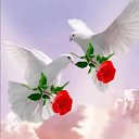 ���� Bozor, �������, 64 ���� - ��������� 23 ������ 2025 � ������ ���� ����������