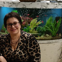 ���� ����, ������������, 53 ���� - ��������� 31 ������ 2026