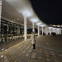 ��������� -2026 ���� �.�. ��������� �� ������� ���� ����������