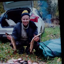 �����, 43 ����, ������