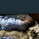  . , , 50  -  29  2025    