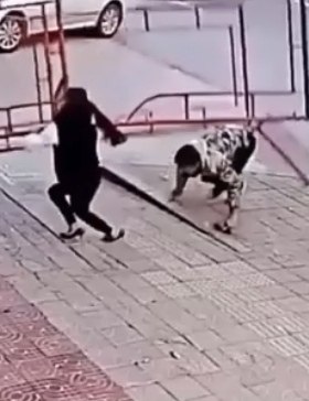 ��������� ������� �������� �� ������� ������! �������� �������� ������� ����� �� �������, �� ������ ... - 2