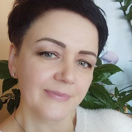 ����, �������, 49 ���