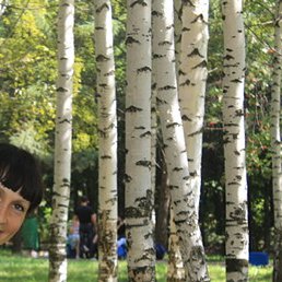 ������, ������, 40 ���