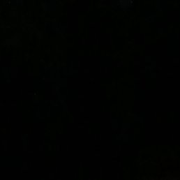 ����, �����-���������, 40 ���