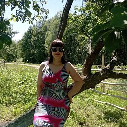  , 41, 