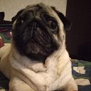 ���� ������, �����, 47 ��� - ��������� 24 ������� 2023