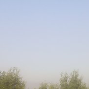 ����, 46 ���, �����-���������