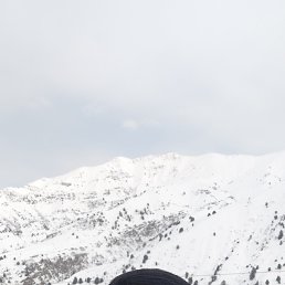 , 37, 