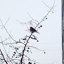 ���� ϸ��, �����-���������, 50 ��� - ��������� 22 ������ 2024