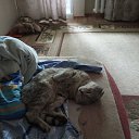 ���� ����� �����������, �����, 53 ���� - ��������� 25 ��� 2025 � ������ ���� ����������