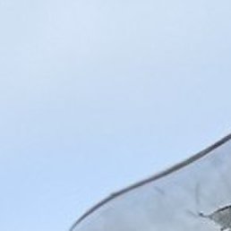 �����, ������, 50 ���