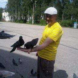 ������, 53 ����, ���������