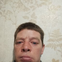 �����, 41 ���, ����