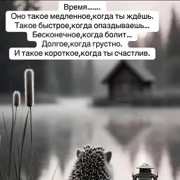 ���� �������, ���������, 56 ��� - ��������� 27 ������� 2025