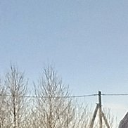 ������, 38 ���, ������