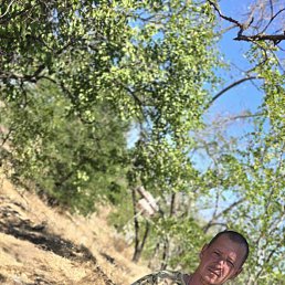 ���� �������, ������-��-����, 40 ��� - ��������� 8 ������ 2026