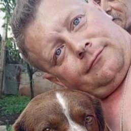 , 41, 