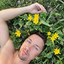 ���� ����, ������, 43 ���� - ��������� 30 ���� 2025 � ������ ���� ����������