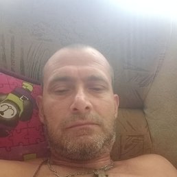 , 43 , 