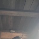 ���� ����, �������������, 41 ��� - ��������� 22 ������ 2026