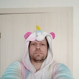 �����, �����-���������, 46 ���