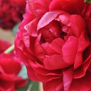 ���� �����, ������ - ��������� 23 ��� 2025 � ������ ���� ����������