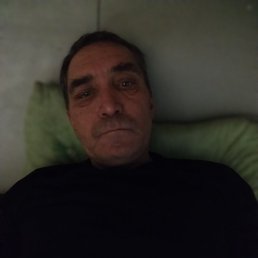 ������, ��������, 46 ���