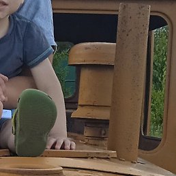 ������, ������, 36 ���