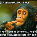 ���� ������, �������, 64 ���� - ��������� 22 ������� 2025 � ������ ������ ��������