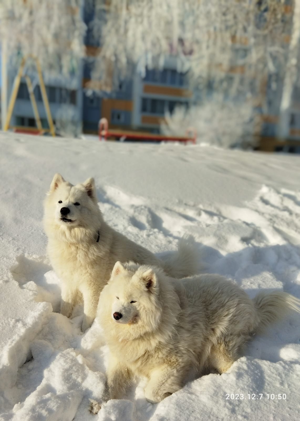  - 25  2023  21:56 - 3