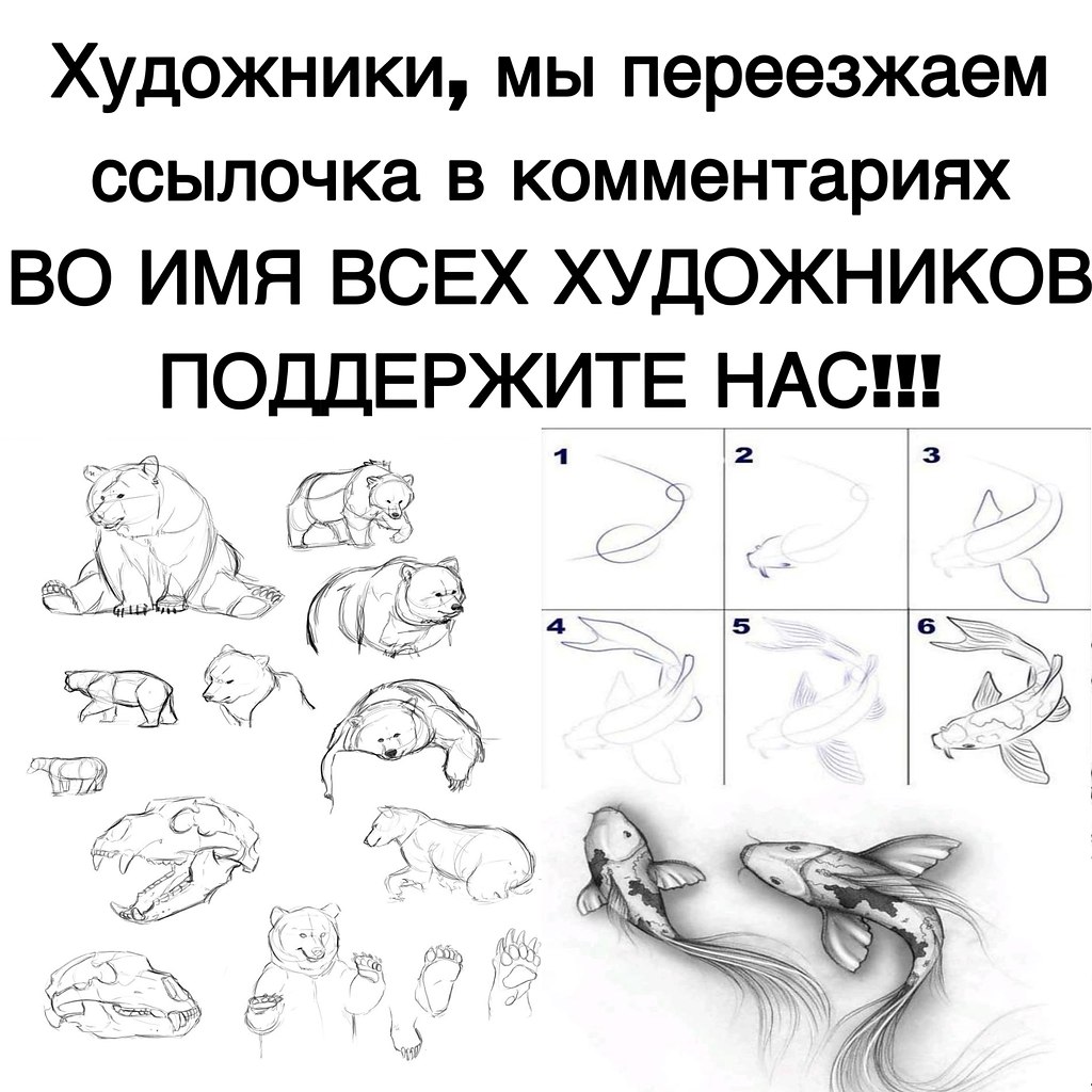   - 13  2025  17:22