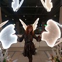 ���� �����, �������, 41 ��� - ��������� 4 ������ 2025 � ������ ���� ����������