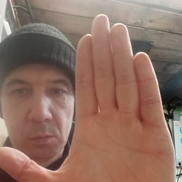 ������, 43 ����, �����������