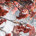 ���� ��������, ���������, 33 ���� - ��������� 19 ������� 2025 � ������ ���� ����������