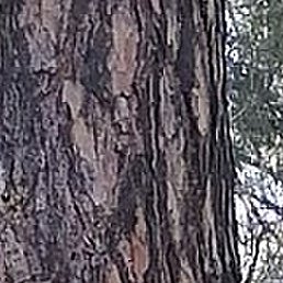 ����, ������������, 64 ����