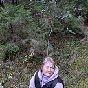 ���� ������, ������������, 44 ���� - ��������� 9 ������ 2026 � ������ ���� ����������