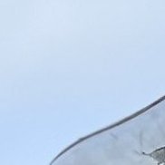 �����, 50 ���, ������