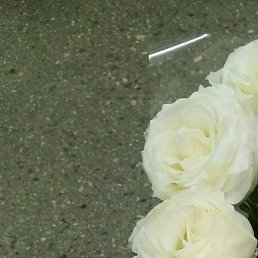 ������, �������, 47 ���