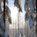 ���� �����, ���������� - ��������� 9 ������� 2025 � ������ ���� ����������