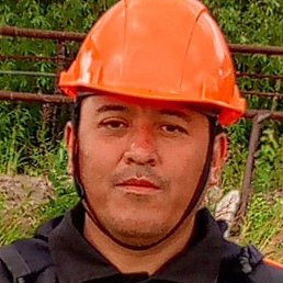 �������, ������, 41 ���