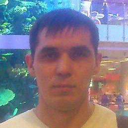 ������� ��������, ������, 40 ���