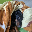 ���� �����, �����-��������� - ��������� 12 ������ 2025 � ������ ������ ��������