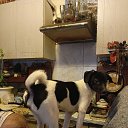 ���� ����, ������-��-����, 58 ��� - ��������� 4 ������ 2026 � ������ ���� ����������